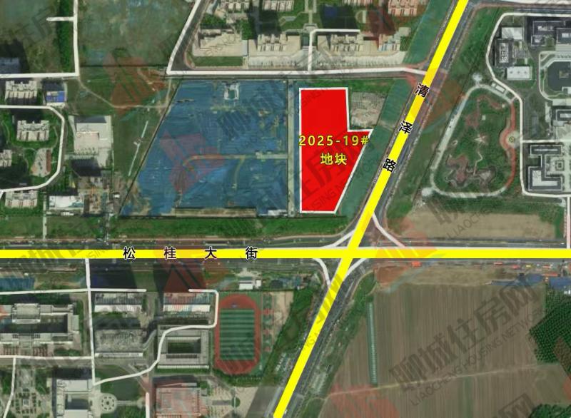 IMG_4179_$1763974289573092600.jpg IMG_4179.jpg